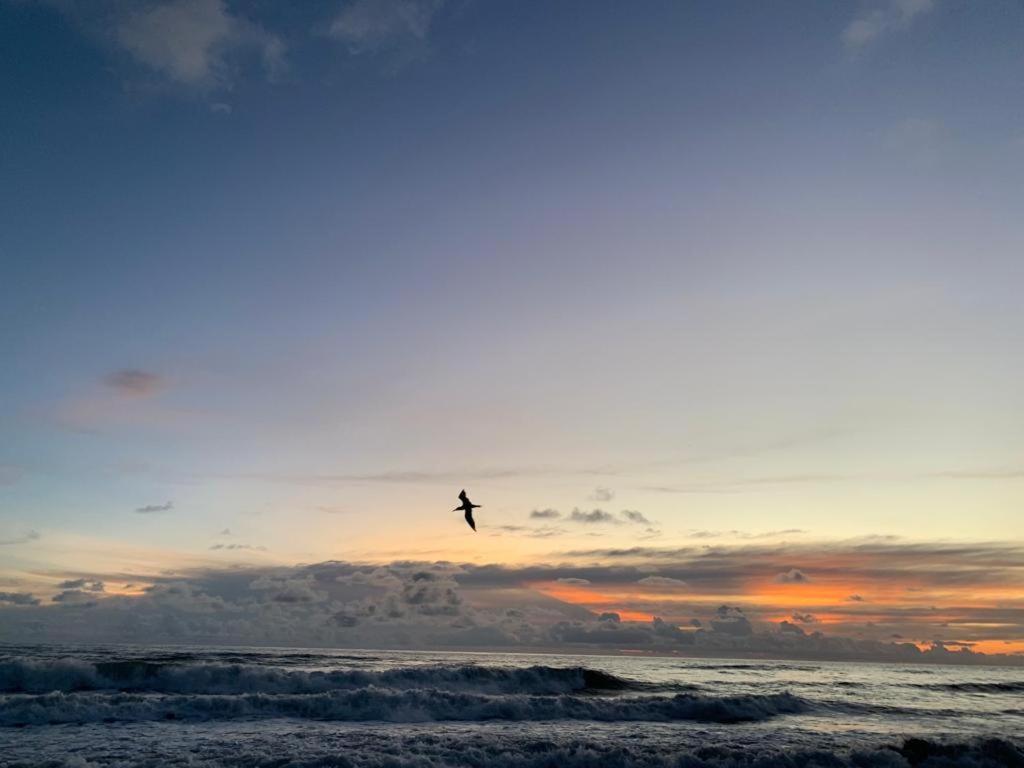 Appartement Playa Hermosa, Mistico, Surf, Bike, Hike, 4 Hab, Lagos, Familia